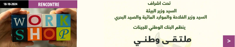 News6