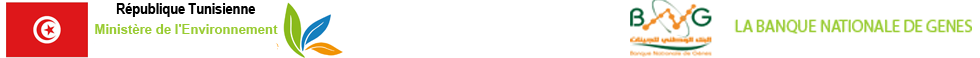 logoban