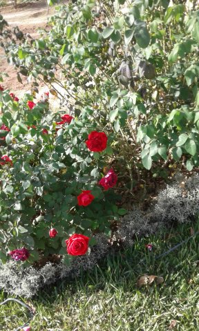 Visite GDA-Sidi Amor