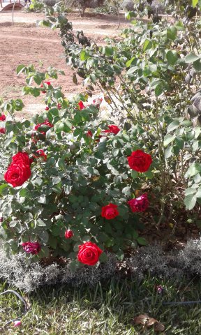 Visite GDA-Sidi Amor